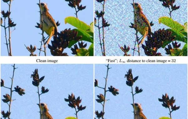 Advisarial Images