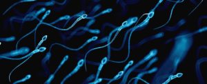 You can now check how healthy your sperm is using your smartphone