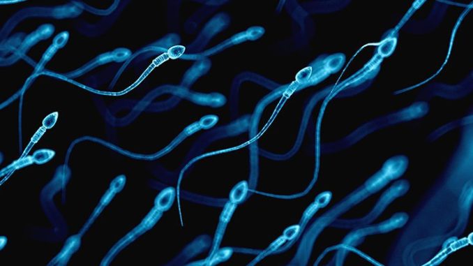 You can now check how healthy your sperm is using your smartphone