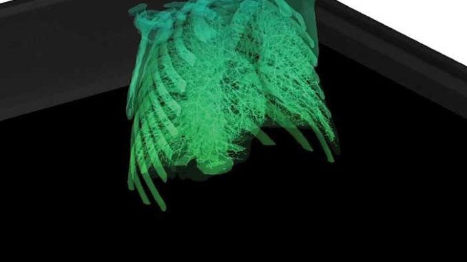 Opto Engineering, Matrix Imaging Partner for Machine Vision Collaboration